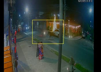 Cavalo solto corre pela avenida e atinge motociclista em Cabo Frio; VÍDEO