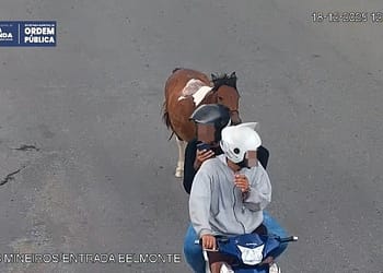 Cavalo amarrado em corda é puxado por moto em Volta Redonda; Dois jovens são autuados