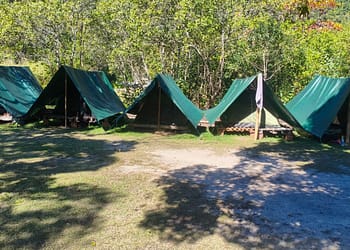 Polícia Ambiental identifica acampamento irregular no manguezal de Paraty