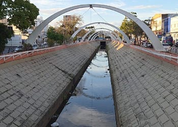Cardume de tilápias e bagres surge no canal de Campos; especialista alerta para risco de consumo