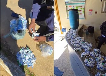 Cerca de 600 pinos de cocaína escondidos em tonel enterrado são encontrados pela PM em Natividade