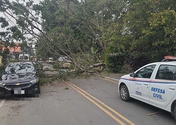 Árvore cai sobre carro e casa e interdita avenida em Resende
