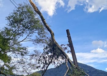 Ventania em Resende derrubou árvores e rompeu cabos elétricos