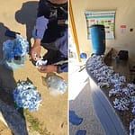 Cerca de 600 pinos de cocaína escondidos em tonel enterrado são encontrados pela PM em Natividade