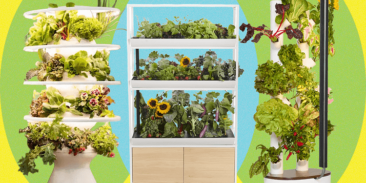 As Melhores Hortas Verticais Internas para 2026: Cultivo Fresco e Sustentável em Casa