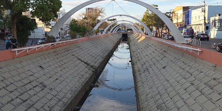 Cardume de tilápias e bagres surge no canal de Campos; especialista alerta para risco de consumo