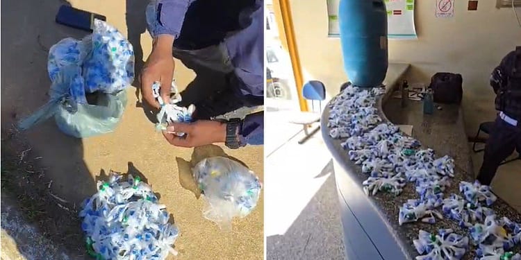 Cerca de 600 pinos de cocaína escondidos em tonel enterrado são encontrados pela PM em Natividade Cerca de 600 pinos de cocaína escondidos em tonel enterrado são encontrados pela PM em Natividade