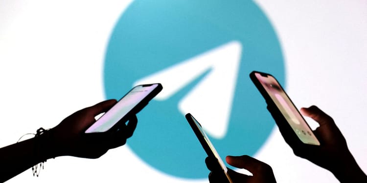 ONG brasileira denuncia à ANPD contas do Telegram com indícios de abuso sexual infantil ONG brasileira denuncia à ANPD contas do Telegram com indícios de abuso sexual infantil